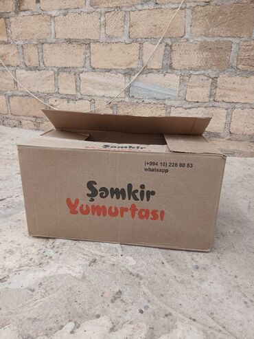 Кольца: Yumurta karopqasi 60 qepiy 35 40eded olar yalnız vatcap