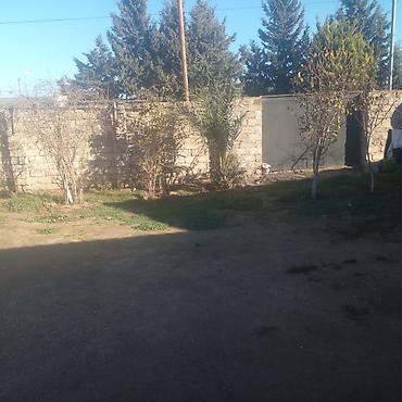 ecemide kiraye evler 2026: Studiya tipli mənzil təqdim olunur. Zal,studio mətbəx,yataq — 10