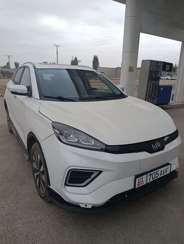 дом на колосах: Weltmeister EX5, 2020 г., 95000 км