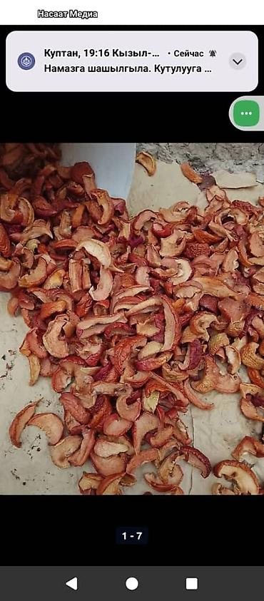 Другие фрукты: Алма как ортосу алынып күндүн нуруна кургатылган курук таптаза өрүк — 10