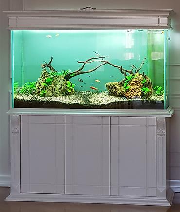 100 l akvarium: Ölçüləri: Uzunluğu 126, hündürlüyü 65, eni 45 — 5