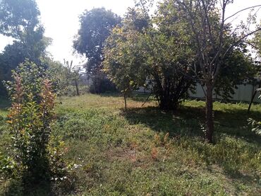 Torpaq sahələrinin satışı: Kənd təsərrüfatı — 4