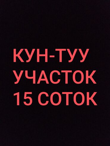 аренда дома иссык куль: 15 соток, Для бизнеса, Красная книга, Тех паспорт
