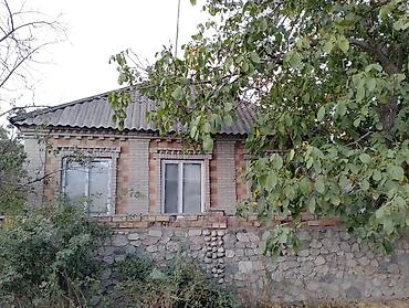 дома зальники: Продаётся одноэтажный кирпичный дом с приусадебным участком с подвалом — 1