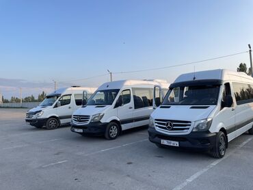 семиместные машины: Пассажирские перевозки на микроавтобусах Mercedes‑Benz Sprinter