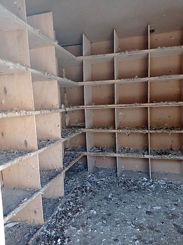 qus iran: Quşxana satılır içinin xanələri səliqəlidir 90 dənə xanəsi var — 6