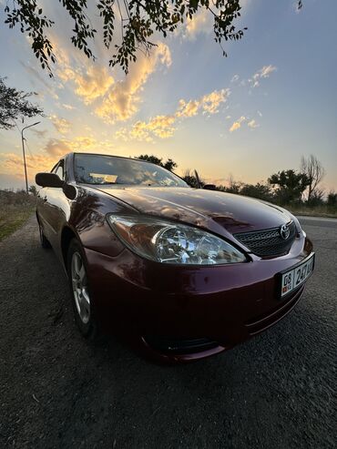 тойота камри 2001: Toyota Camry: 2003 г., 2.4 л, Автомат, Бензин, Седан