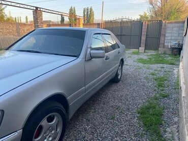 купить крыло гольф 3: Mercedes-Benz S-Class: 1995 г., 3 л, Автомат, Дизель, Седан