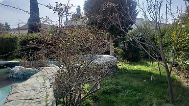 suvalanda ev: 15 otaq, 2400 kv. m, Orta təmir — 4