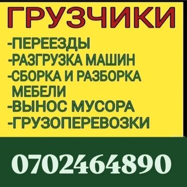 удаленная работа с телефона ежедневная оплатабез вложений: Грузчик. 3-5 лет опыта