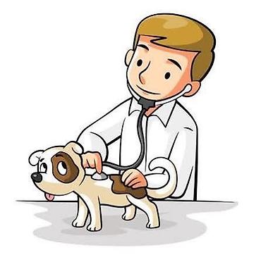 Ветеринар кызматы: 🐾 ВЕТЕРИНАРНАЯ ПОМОЩЬ ДЛЯ ВАШИХ ЛЮБИМЦЕВ И ЖИВОТНЫХ 🐾 Оказываем — 2