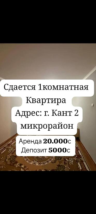 1 комната, Собственник, Без животных, от 6 месяцев, от 1 года, С мебелью полностью