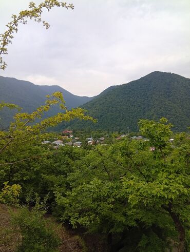 Günlük kirayə evlər: 40 kv. m, 2 otaqlı, Kombi, İnternet, Telefon -da lalafo.az — 19 Günlük kirayə evlər: 40 kv. m, 2 otaqlı, Kombi, İnternet, Telefon — 19