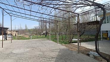 Другие удобства для дома и сада: Другие удобства для дома и сада — 19