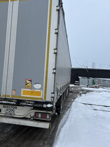 Тягачи: Тягач, DAF, 2018 г., Шторный — 7