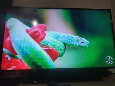 philips xenium x331: Б/у Телевизор Philips Led 40" FHD (1920x1080), Самовывоз