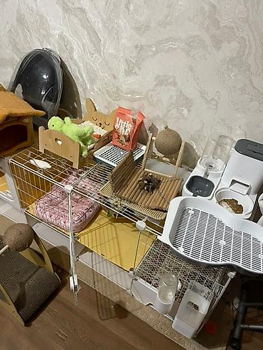 кролик бишкек: Домик для животных,(кролик; кошек и т.д ) Есть все необходимые вещи — 6