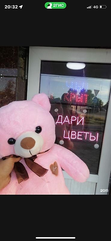 пет банки: Продается готовый бизнес.Или обмен на машину или землю оборудования — 3