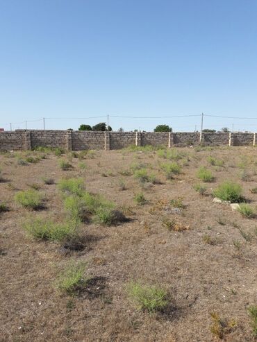 Torpaq sahələrinin satışı: 5 sot, Tikinti, Mülkiyyətçi, Kupça (Çıxarış) -da lalafo.az — 6 Torpaq sahələrinin satışı: 5 sot, Tikinti, Mülkiyyətçi, Kupça (Çıxarış) — 6