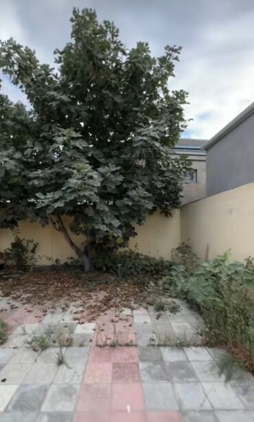 Həyət evləri və villaların satışı: Binəqədi qəs. 3 otaqlı, 100 kv. m, Yeni təmirli -da lalafo.az — 17 Həyət evləri və villaların satışı: Binəqədi qəs. 3 otaqlı, 100 kv. m, Yeni təmirli — 17