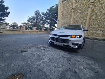 Digər nəqliyyat: Arendaya verilir 1000 azn depozit gunluk 40 azn qalmamaq sertile — 17