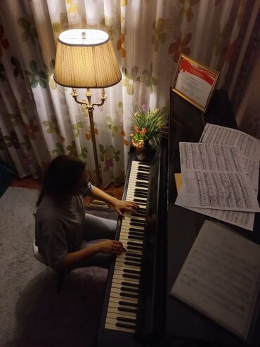 пианино петроф: Уроки игры на фортепиано | Индивидуальное