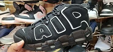 premiata 483 original: Orginal model sa kutijom 39 do 45 za samo 4200 din — 1