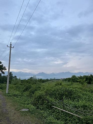 Torpaq sahələrinin satışı: 87 sot, Tikinti, Mülkiyyətçi, Kupça (Çıxarış) — 5