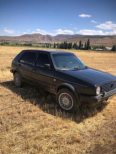 решетка 221: Volkswagen Golf: 1992 г., 1.8 л, Механика, Бензин, Хэтчбэк — 2