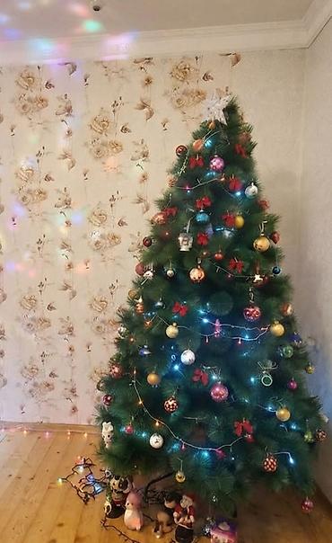 🎄 Yolka satılır! 🎄 Ölçüsü: 2.10 m Cəmi 1 dəfə, keçən il qurulub. Təzə lalafo.az -da 🎄 Yolka satılır! 🎄 Ölçüsü: 2.10 m Cəmi 1 dəfə, keçən il qurulub. Təzə