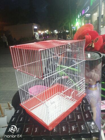 Qəfəslər: Təzə Qəfəslər 9azn boş qəfəslər Valnisti Tutuquşu Qəfəsi 9azn Amadin — 17