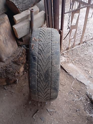 Шины: Автомобильная шина Nokian Tyres размером 195/55 R16 87T. Направленный — 2