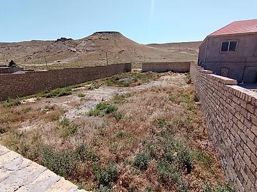 məmmədli ev: 32 sot, Tikinti, Mülkiyyətçi, Kupça (Çıxarış) — 4