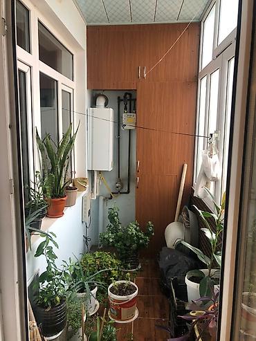 gənclik ev: 2 otaqlı, Yeni tikili, 69 kv. m — 5