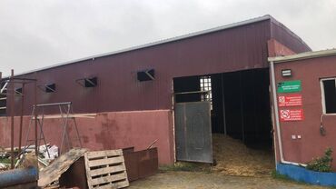 Torpaq sahələrinin satışı: 48 sot, Kənd təsərrüfatı, Makler, Kupça (Çıxarış) — 28