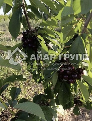 Продажа участков: 80 соток, Для сельского хозяйства — 1