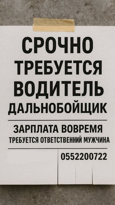 требуется грузчик ночной смены: Требуется Водитель грузового транспорта, Категория прав (CE), На фуру, Более 5 лет опыта, Мужчина