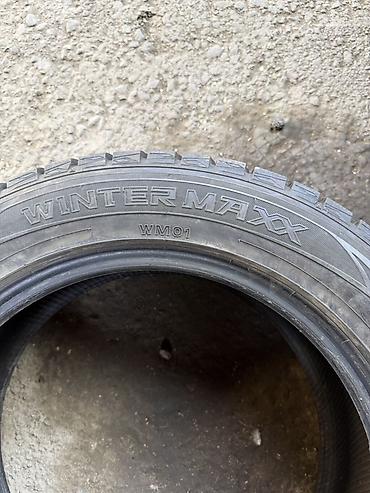 20555: Комплект зимних шин Dunlop без шипов (фрикционные). Размер: 205/55 R16 — 5