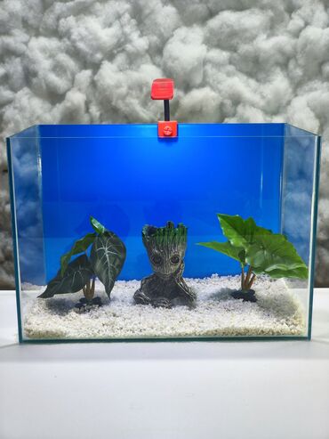 купить аквариум в баку: Dördbucaq akvarium, Boş, 22 l, Ünvandan götürmə, Ödənişli çatdırılma