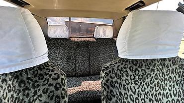 Audi: Audi 100: 1986 г. — 12