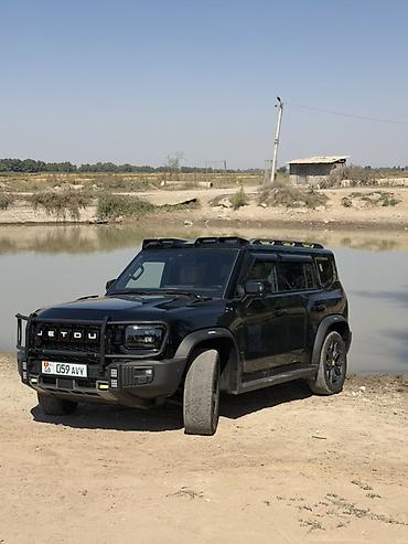 step rf3: Jetour : 2024 г., 2 л, Автомат, Бензин, Roadster — 1