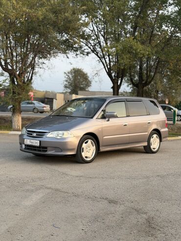 меняю дом на машину: Honda Odyssey: 2001 г., 2.3 л, Автомат, Газ, Вэн/Минивэн