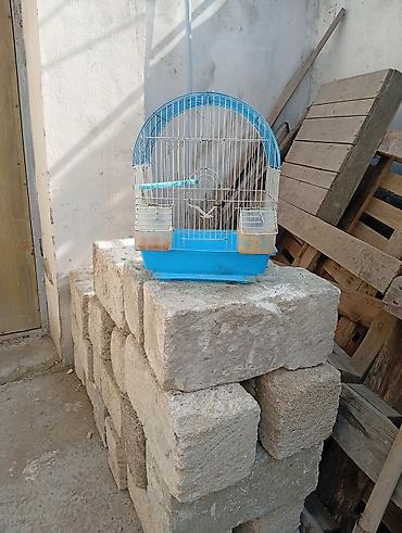 bulbul qəfəsi: Quş qəfəsi satılır. Metal telli konstruksiyaya malik, üst hissəsi tağ — 2