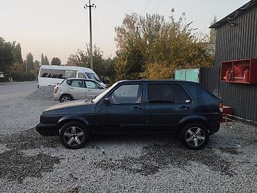 афто скупка: Volkswagen Golf: 1991 г., 1.8 л, Механика, Хэтчбэк — 2