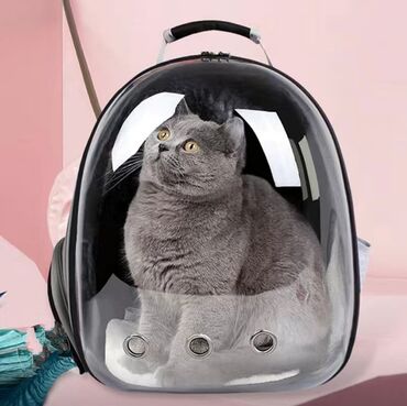 Зоотовары: Рюкзак для кошек