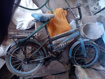 transporter multivan: Детские велосипеды, 16" 1) Teknum 16" - Стальная рама - 1 скорость — 1