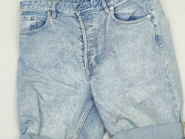 Shorts: Shorts, H&M, L (EU 40), condition - Good