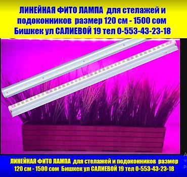 фитолампа: Тайвань фитолампы фитолента фито прожекторы 21 вид прямые поставки с — 2