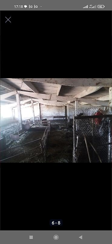 Продажа другой коммерческой недвижимости: Срочно продается кошара.( в 7 км от трасы Бишкек Кара- Балта ) 40 — 7