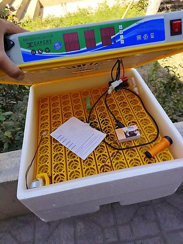 Сельскохозяйственное оборудование: JC Expert Mini Egg Incubator. 3 dəfə istifadə edilib tam işlədir — 4